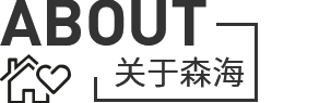 广东森海运动用品有限公司